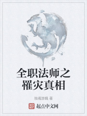 全职法师之罹灾真相